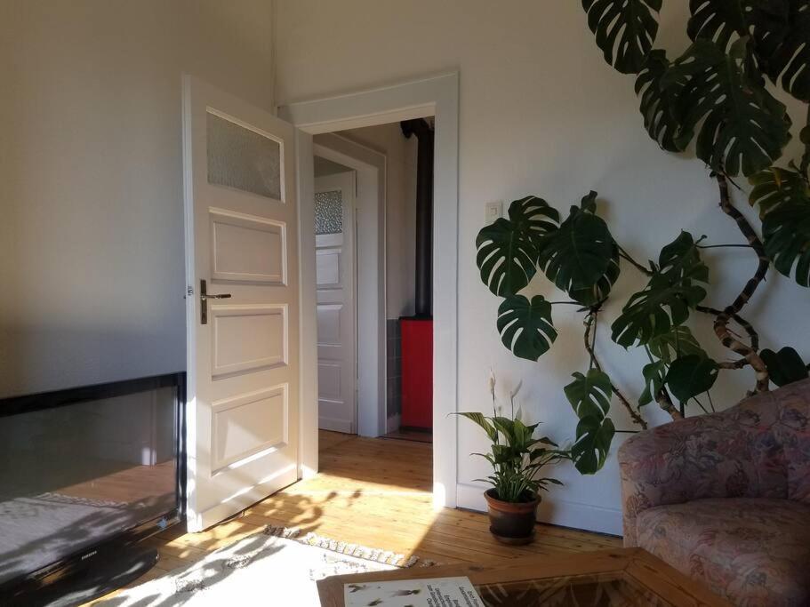 Ferienwohnung Alte-Schule-Kail Wohnung 2 Extérieur photo