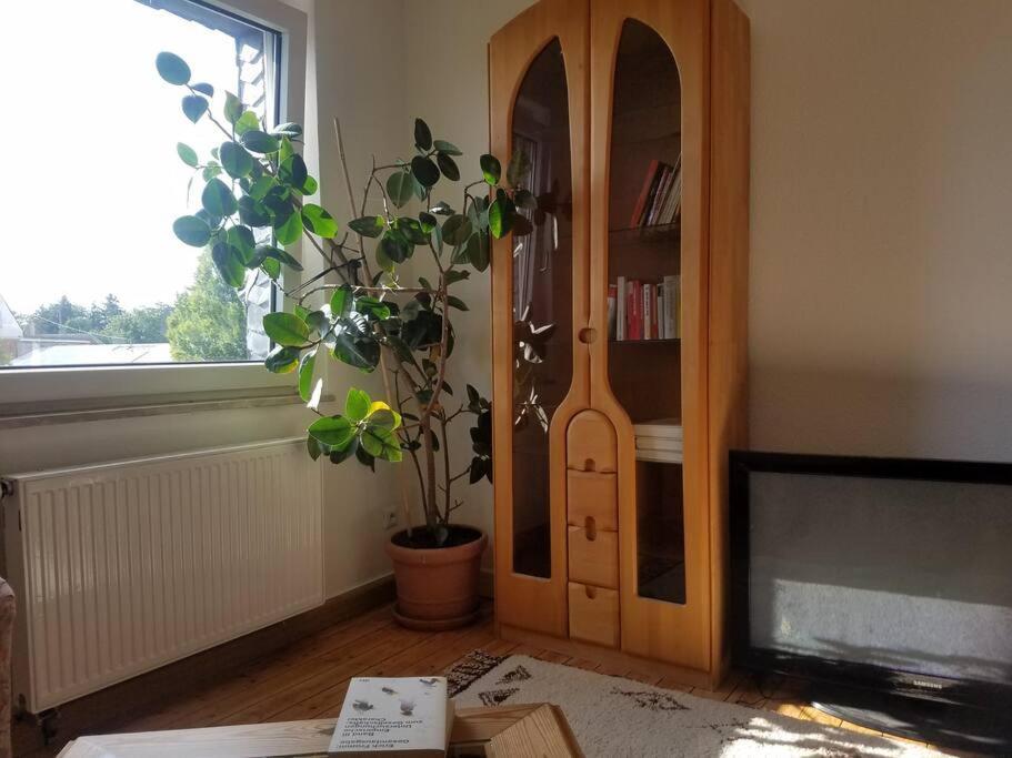 Ferienwohnung Alte-Schule-Kail Wohnung 2 Extérieur photo