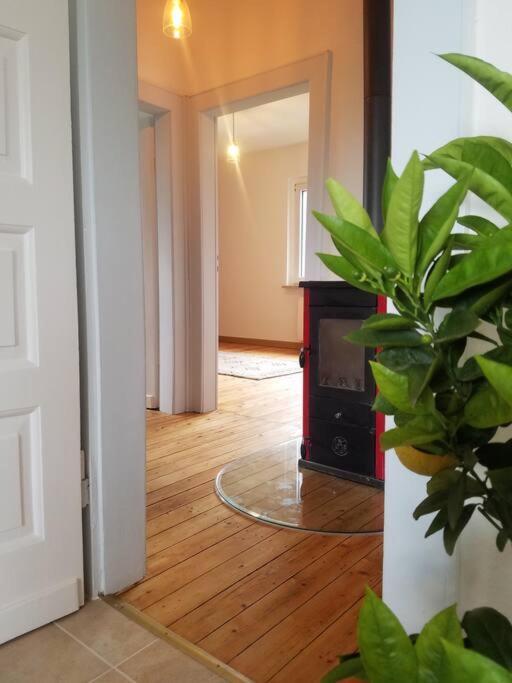 Ferienwohnung Alte-Schule-Kail Wohnung 2 Extérieur photo